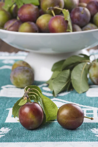 Closeup from ecological plums — Stock Photo, Image