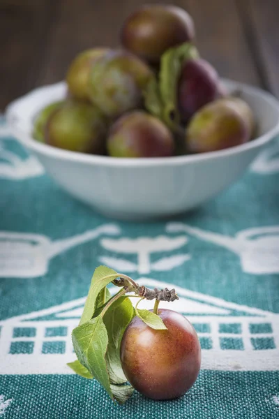 Closeup from ecological plums — Stock Photo, Image