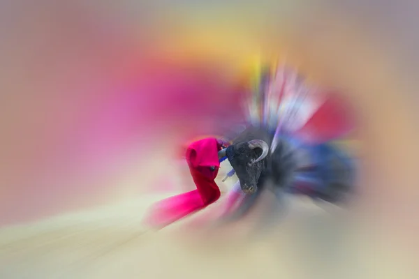 Абстрактный рисунок о корриде — стоковое фото