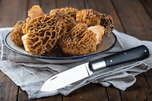 Morchella Morel Edible Mushrooms Kitchen Table — Stock Photo, Image