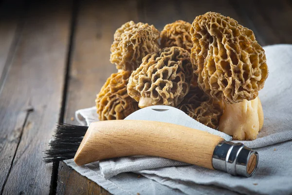 Morchella Morel Βρώσιμα Μανιτάρια Στο Τραπέζι Της Κουζίνας Εικόνα Αρχείου