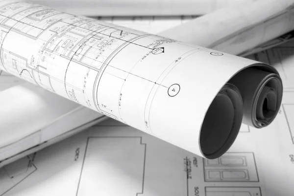 Plansroled-up planları tablo