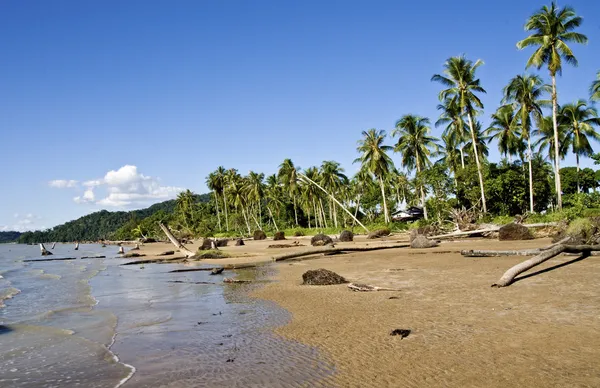 Praia — Fotografia de Stock