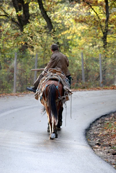 Jezdec, kůň jezdce na silnici — Stock fotografie