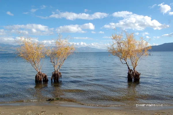 Lac Prespa, macédonie — Photo