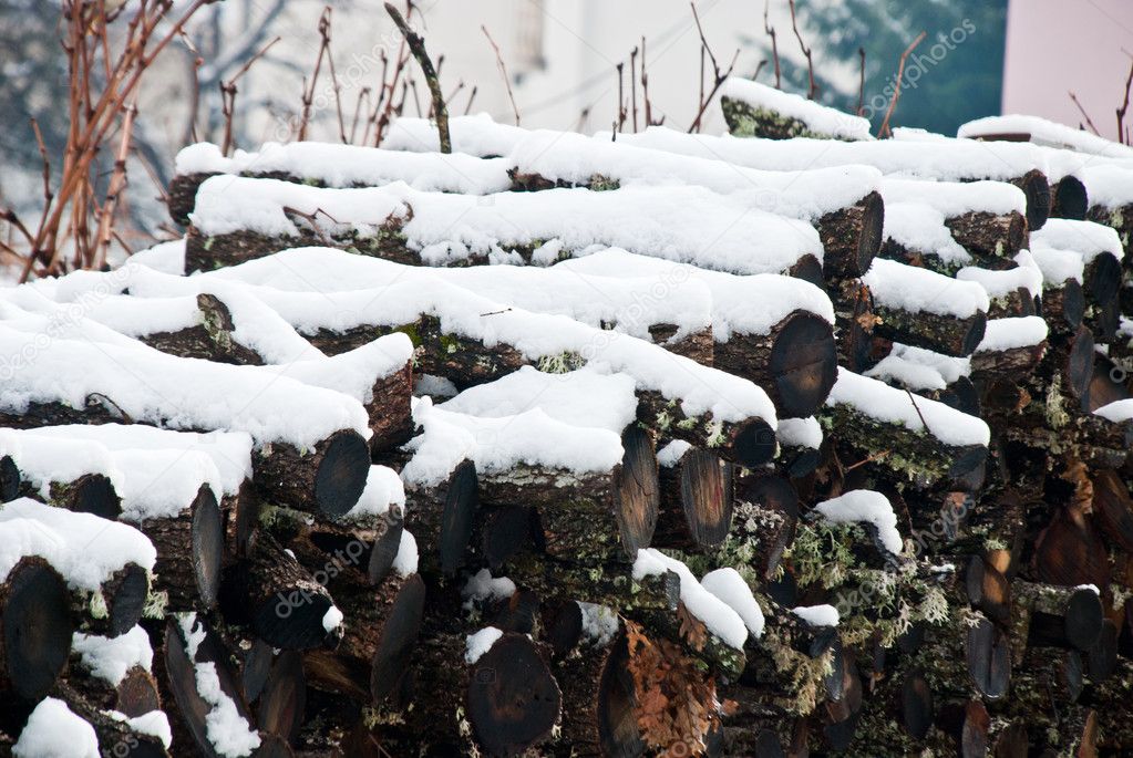 Logs covered in snow
