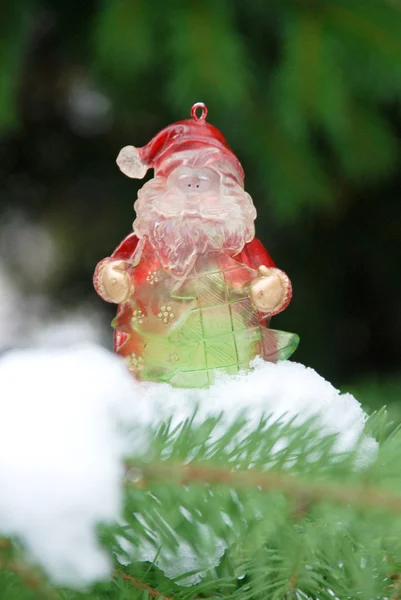 Santa claus on pine - tree branch with snow — Stock Photo, Image