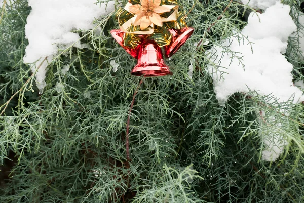 Kerst achtergrond, klokken op sneeuw en pine tree — Stockfoto