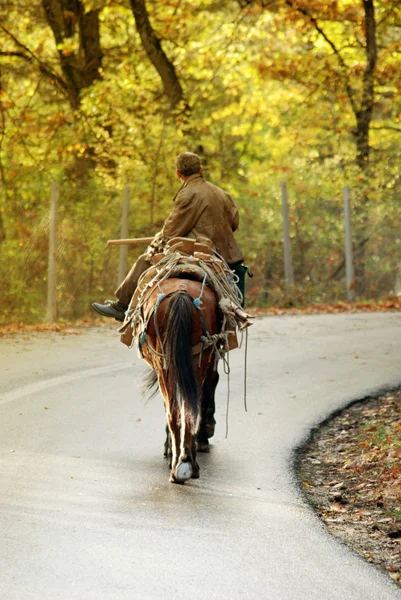 Horse Rider Macedonia — Stock fotografie