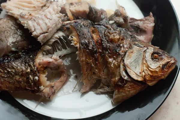 Yarısı yenmiş balık