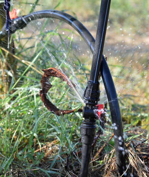 Interruptor dañado de manguera de riego — Foto de Stock