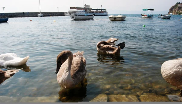 Lake ohrid, macedonia — Stock Photo, Image