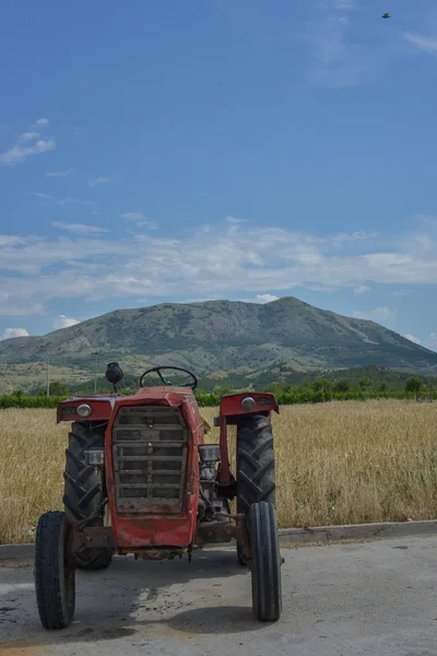 Старовинний трактор біля пшеничного поля — стокове фото