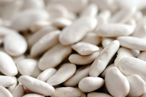 Kidney bean, macro — Stock Photo, Image