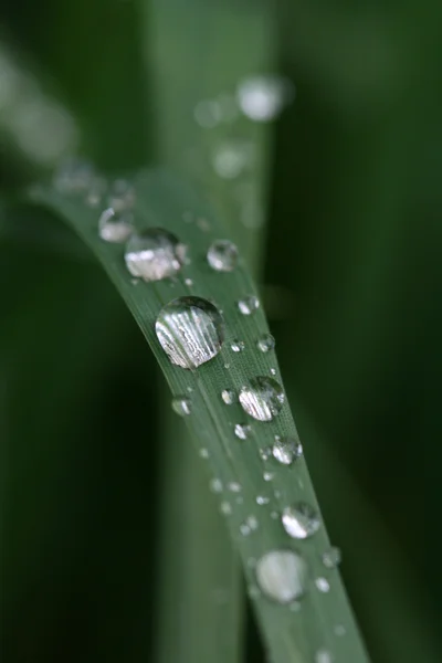 水滴 — 图库照片