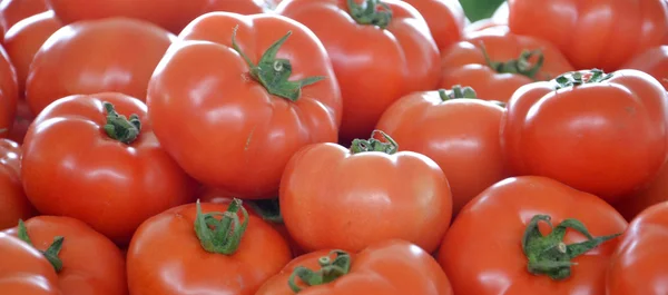 시장에 있는 신선 한 토마토 — 스톡 사진