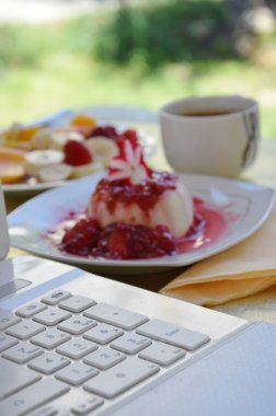 Geleneksel İtalyan tatlı panna cotta