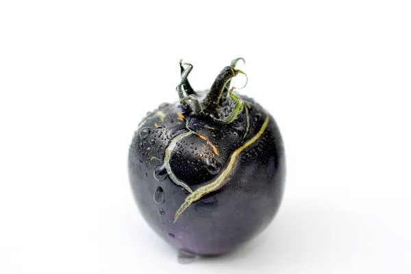 Black Tomato Isolated White Background — Stock Photo, Image