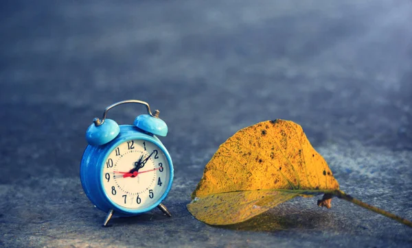 Folha Noz Outono Relógio Alarme Clássico Azul Tiro Manhã — Fotografia de Stock