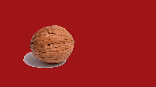 Single Walnut Red Background Image — Stock Photo, Image