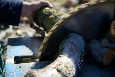 Daire testere bıçağıyla odun kesiyorum..