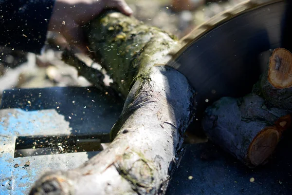 Daire testere bıçağıyla odun kesiyorum..