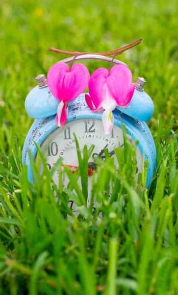 Bleeding Heart Flower Alarm Clock — Fotografia de Stock