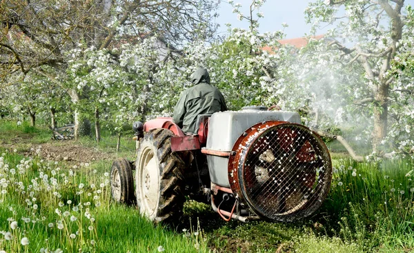 Traktorsprej Insekticid Blommande Äppelträdgård — Stockfoto