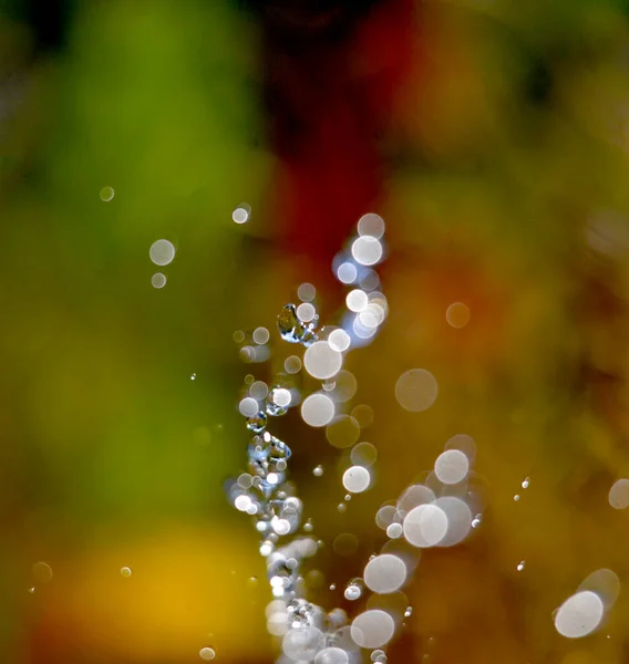 Gotas Agua Levitan Sobre Fondo Borroso — Foto de Stock