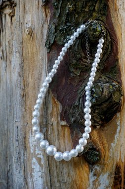 İnci kolye ahşap arka plan üzerinde