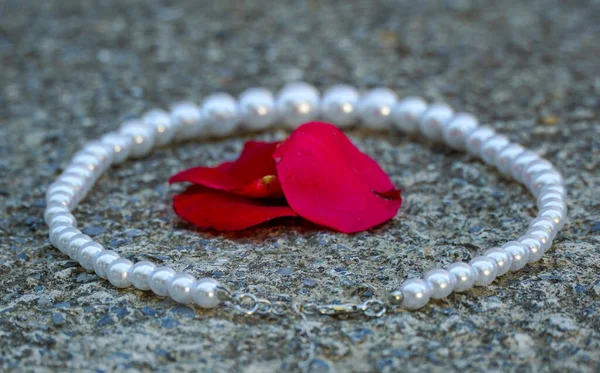 Pearl Necklace Rose Petals Concrete Background — Zdjęcie stockowe