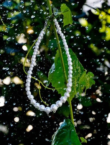 Pearl Necklace Waterdrops Pictured Outdoor — Zdjęcie stockowe