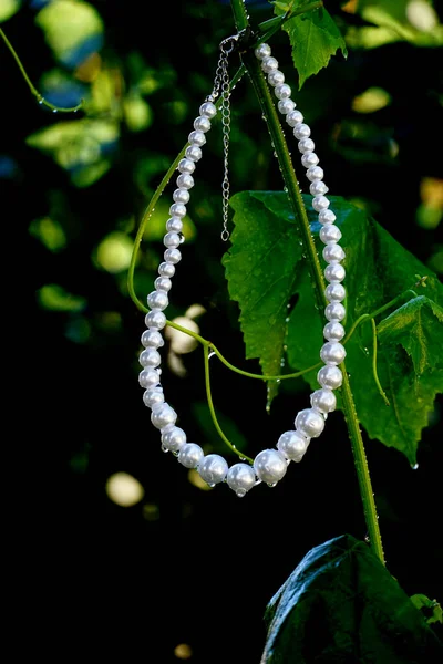 Pearl Necklace Waterdrops Pictured Outdoor — Fotografia de Stock