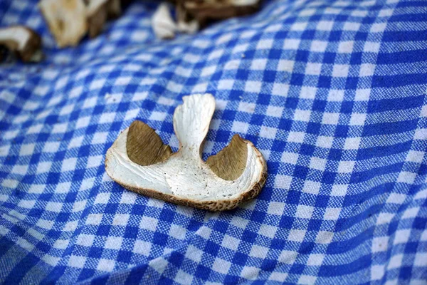 Dried Mushrooms Cloth Napkin Mushrooms Peeled Cut Pieces — ストック写真