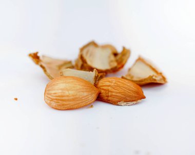 Kayısı çekirdeği beyaz arkaplanda izole edildi