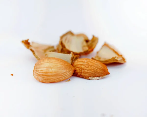 Apricot Kernel Isolated White Background — Stock Photo, Image