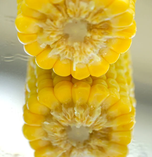 Boiled Corn Cob Close — Stockfoto