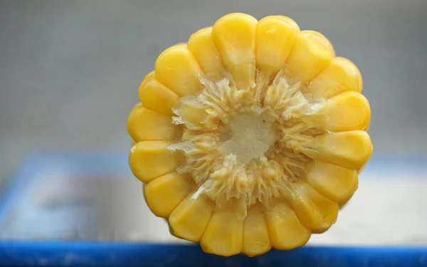 Boiled Corn Cob Close — Photo