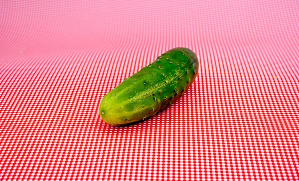 Whole Cucumber Pink Stripped Background Shallow Depth Field — 스톡 사진