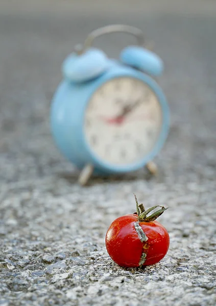 Tomates Vermelhos Isolados Branco — Fotografia de Stock