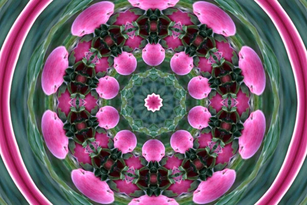 Abstract Background Pattern Kaleidoscope Abstract Kaleidoscopic Geometrical Ornament — стоковое фото