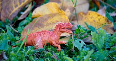 Arka bahçede çekilmiş plastik dinozor oyuncağı..
