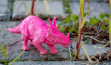 Arka bahçede çekilmiş plastik dinozor oyuncağı..