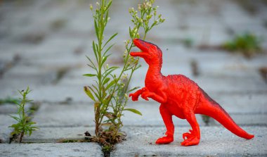 Arka bahçede çekilmiş plastik dinozor oyuncağı..