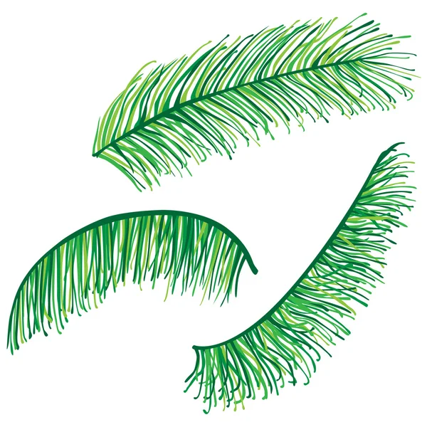 Set of highly detailed palm leaves — Stock Vector