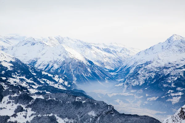 Paysage hivernal. montagnes d'hiver paysage. Bel hiver — Photo