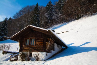 Kış manzarası. güzel kış