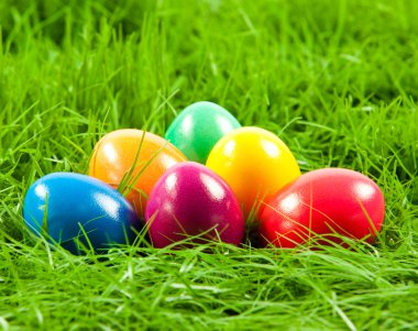 Paskalya yumurta taze yeşil çimen .