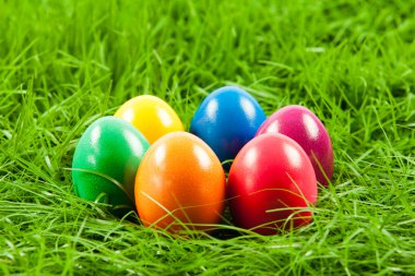 Paskalya yumurta taze yeşil çimen .