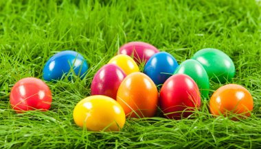 Paskalya yumurta taze yeşil çimen .